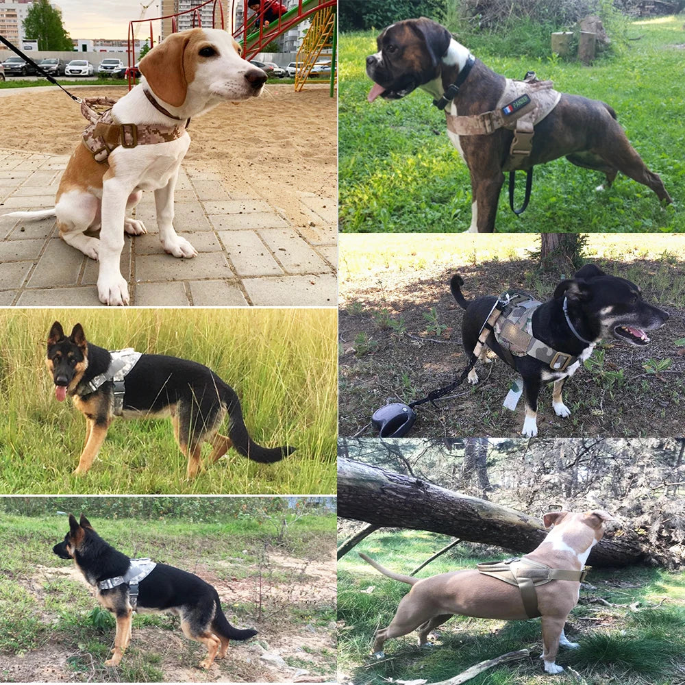 Dog Harness K9 Walking Adjustable Nylon Pet Dog Collar Vest Bungee Dog Leash Harness For Small Larges Dogs German Shepherd