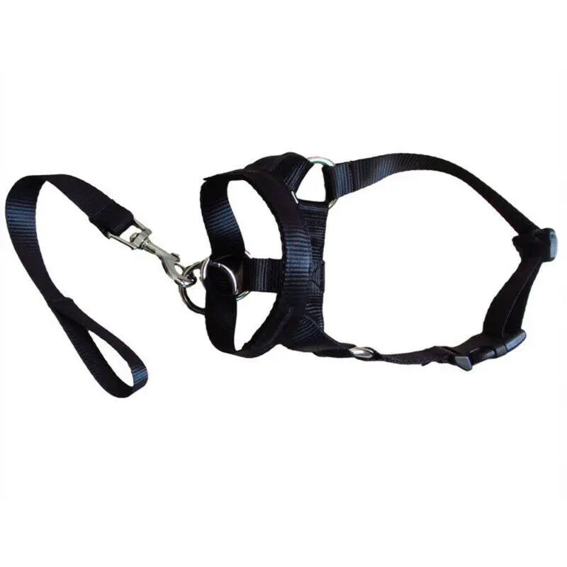 Creative Dog Halter Halti Training Head Collar Gentle Leader Harness Nylon Breakaway All Seasons Usefull Harnesses Lead hot