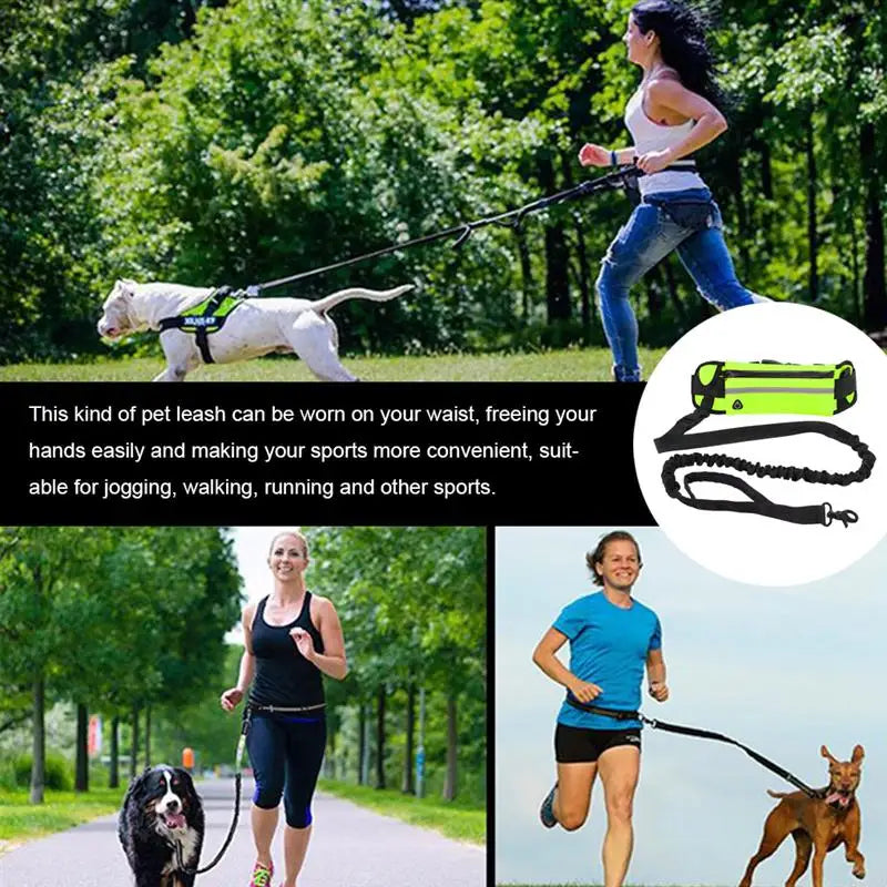 Hands Free Dog Leash for Running Walking Reflective Leash with Waist Bag Retractable Elastic Belt Dog Traction Rope Pet Products