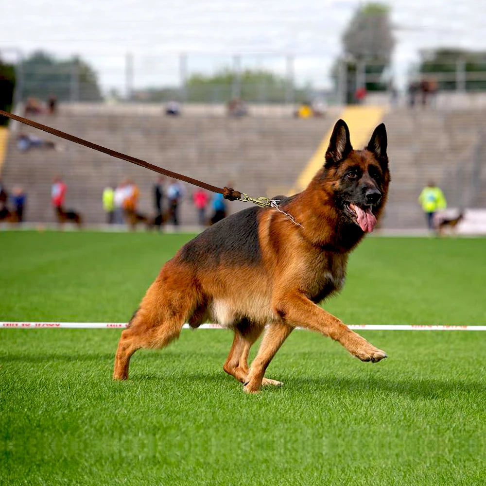 Dog Leash Leather Pet Walking Training Dog Lead Running Leashes Belt For Medium Large Dogs German Shepherd 1.5m/2.5m Long