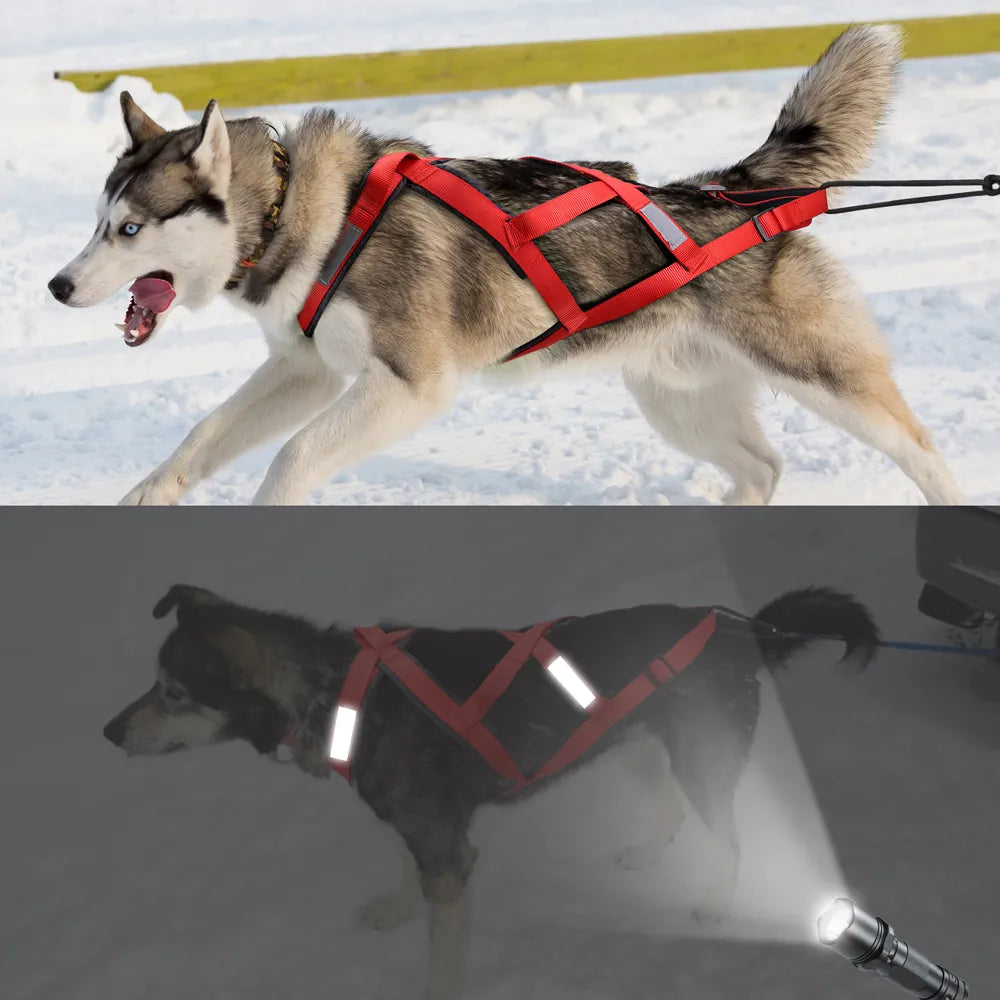 Dog Sled Harness Pet Weight Pulling Sledding Harness Mushing X Back Harness For Large Dogs Husky Canicross Skijoring Scootering