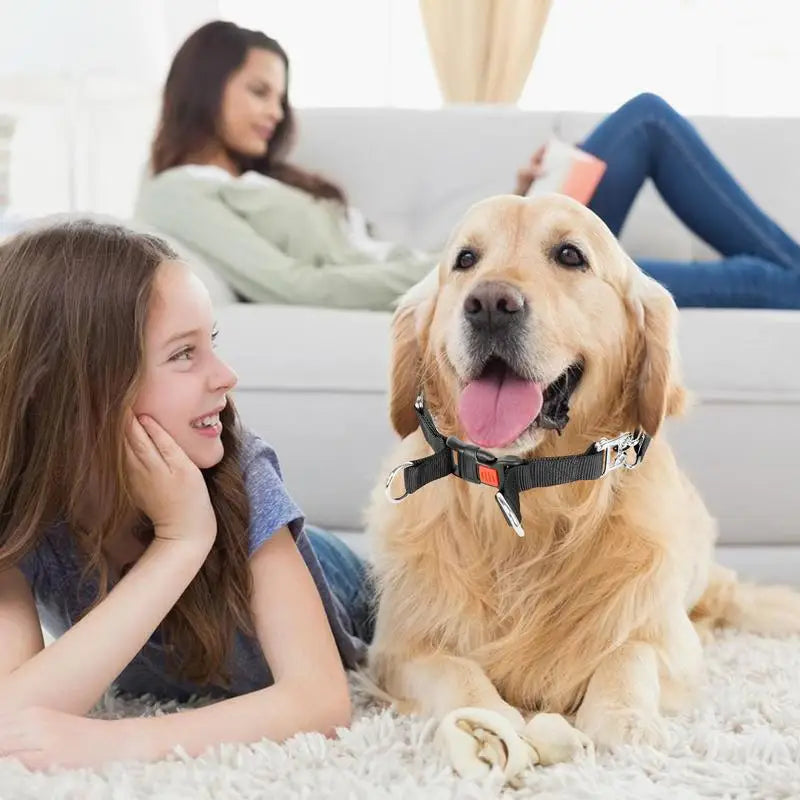 Prong Training Dog Collar Creative Adhesive Detachable Training Choker Collar Pinch Comfortable Adjustable Collar pet supplies