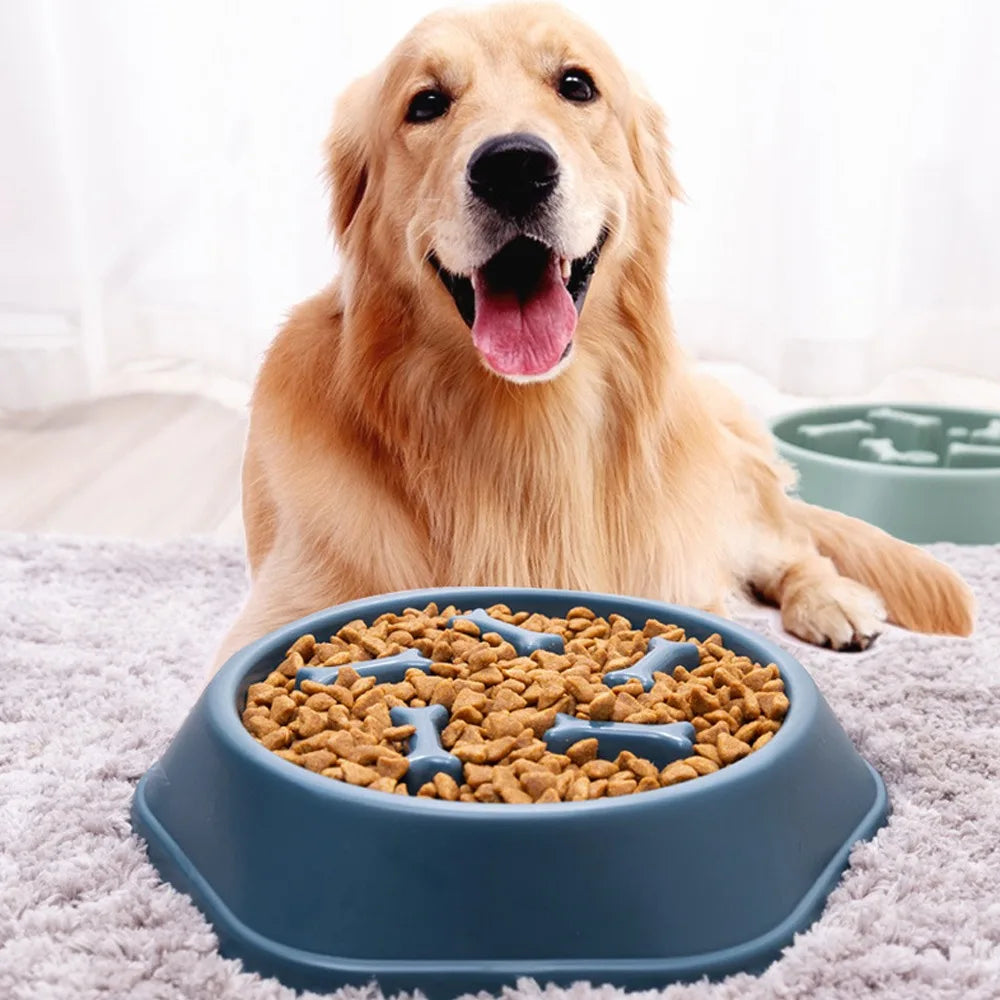 New Pet Dog Feeding Food Bowl Puppy Slow Down Eating Feeder Dish Bowl Prevent Obesity Pet Dogs Supplies Food Stora Dropshipping